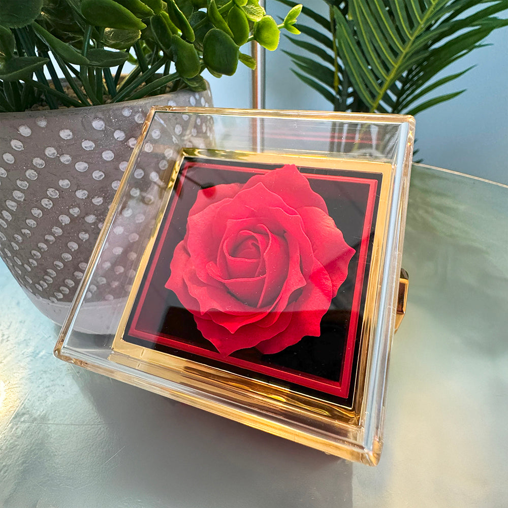 The Eternal Rose" Gift Set — Forever Love Necklace & Rotating Display